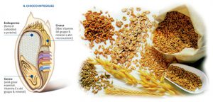 cereali integrali