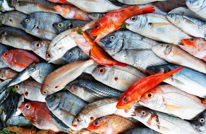 mangiare il pesce