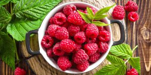 costo cibo biologico