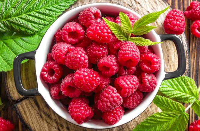costo cibo biologico